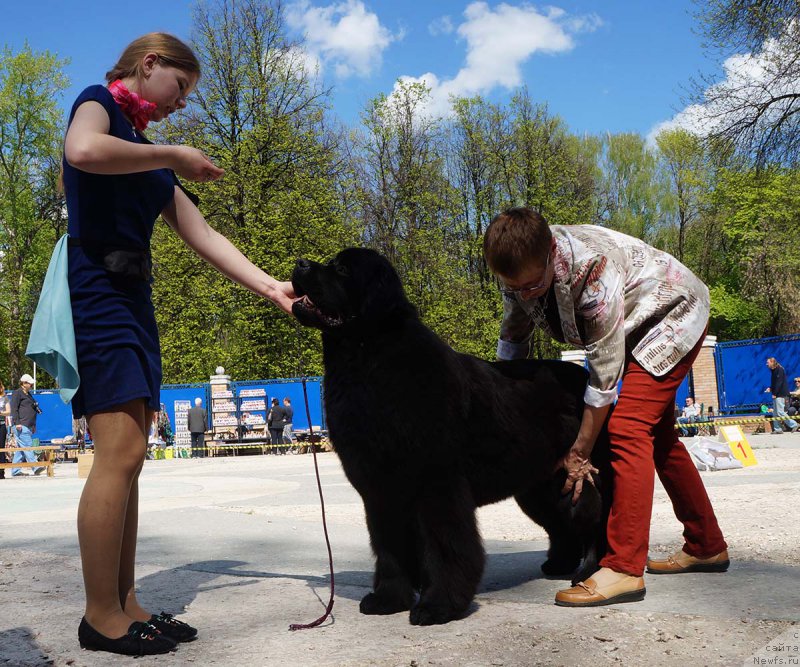 Фотография № 206853