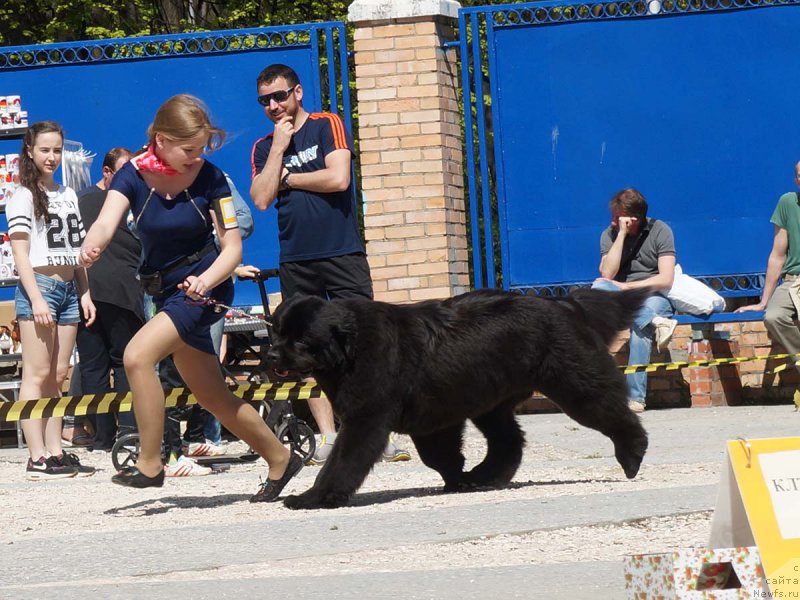 Фотография № 206854