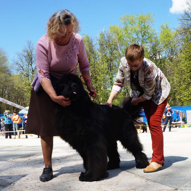 Фотография № 206856