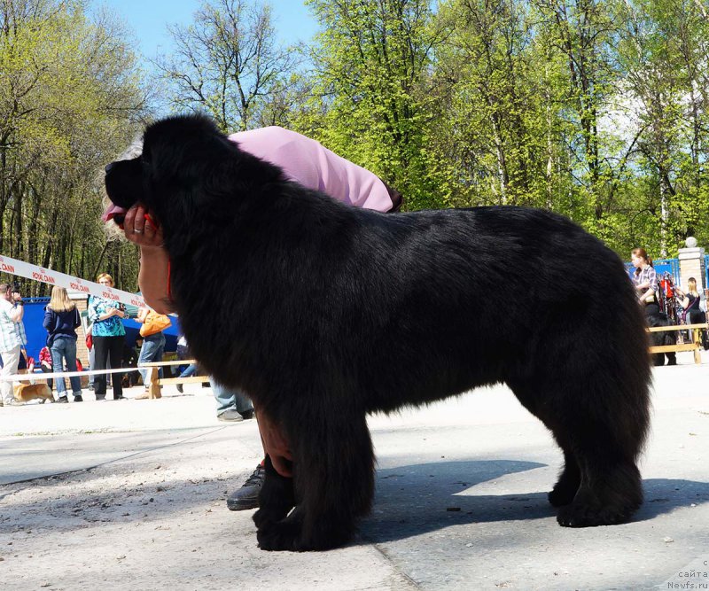 Фотография № 206857