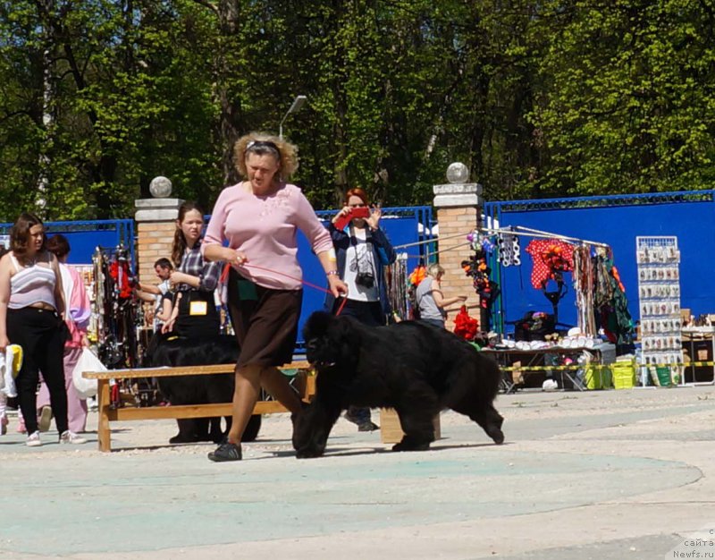 Фотография № 206858