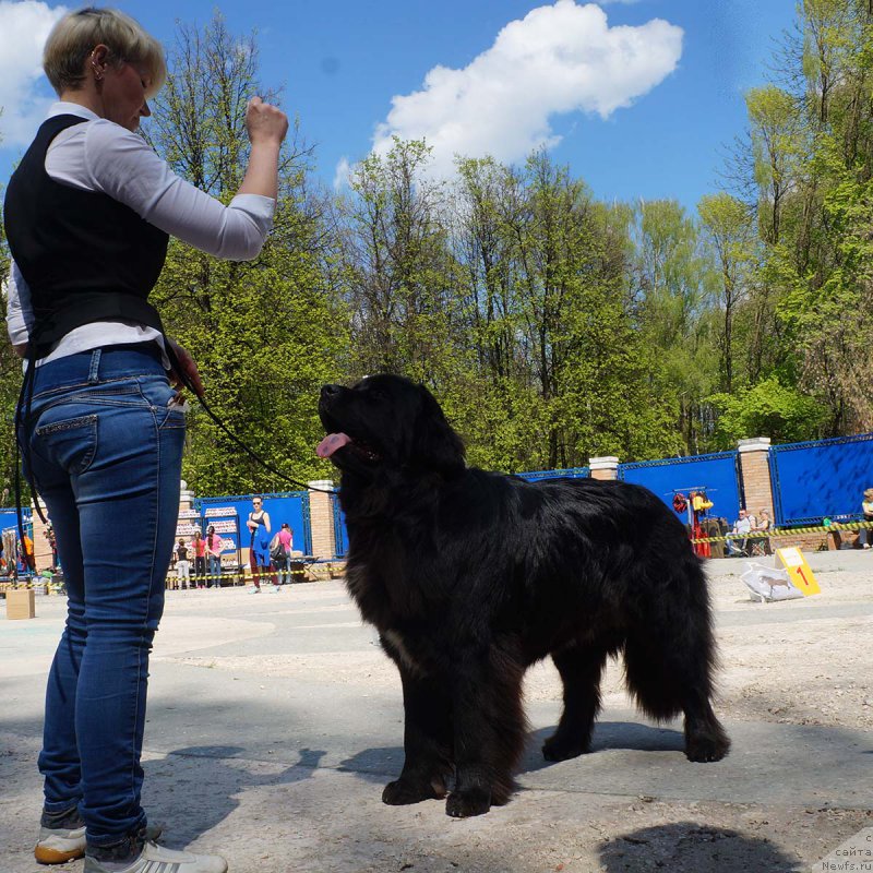 Фотография № 206860