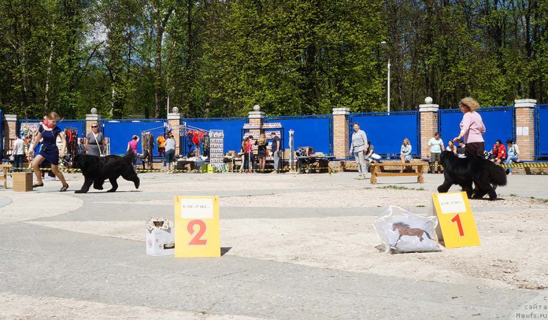 Фотография № 206862