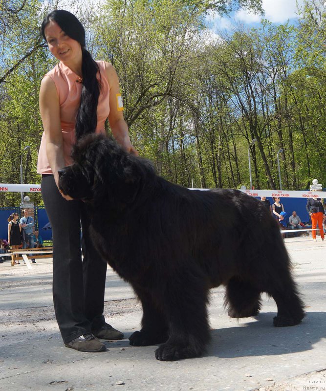 Фотография № 206864