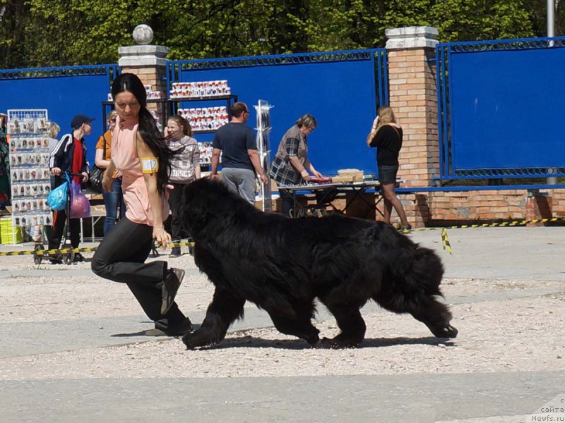 Фотография № 206865