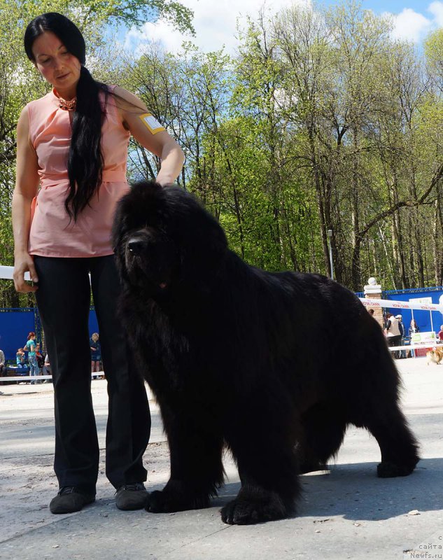 Фотография № 206866