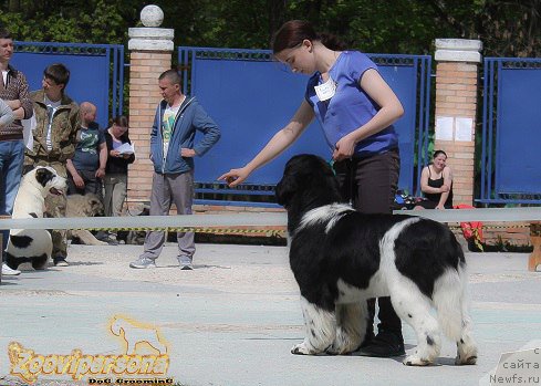 Фотография № 206870