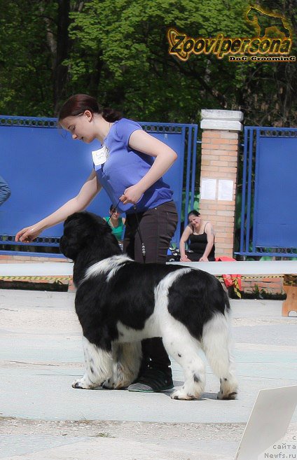 Фотография № 206871