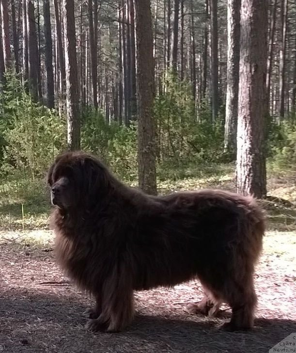 Фотография № 206872