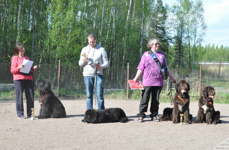 Фотография № 206883