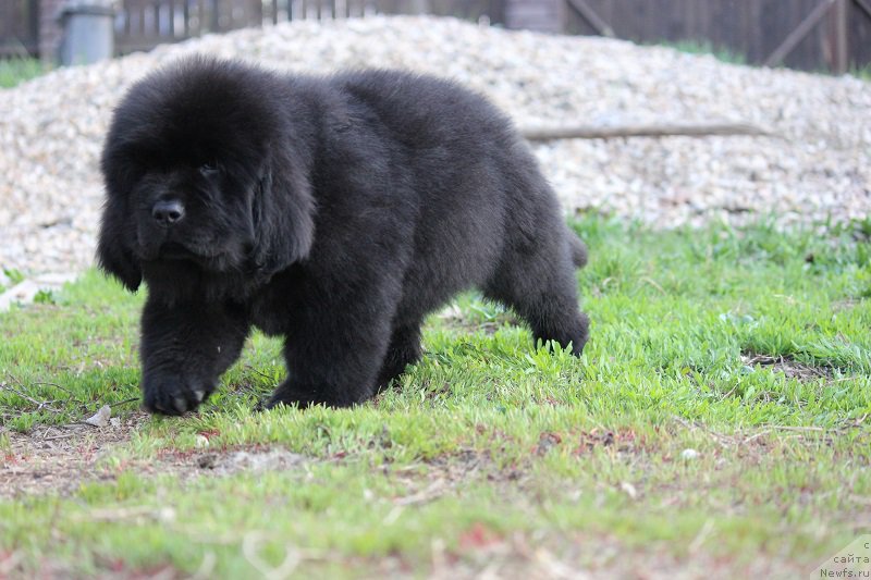 Фотография № 206889