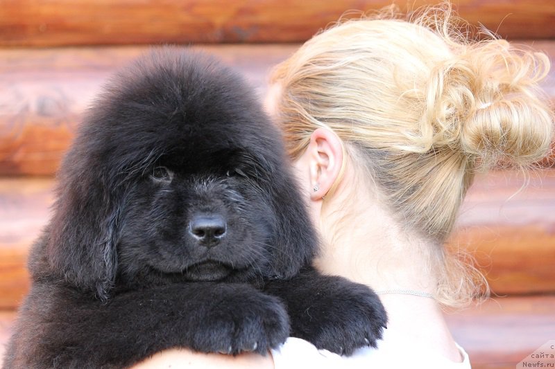 Фотография № 206893