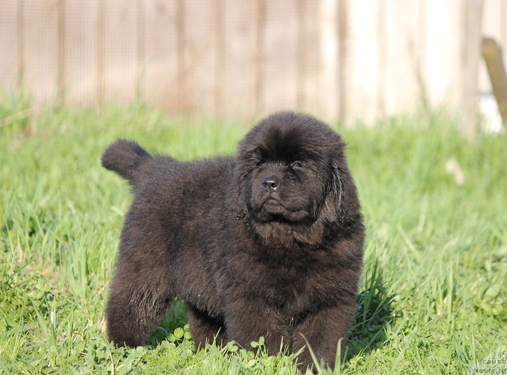 Фотография № 206896