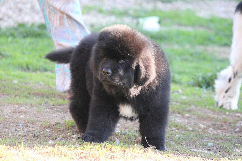 Фотография № 206900