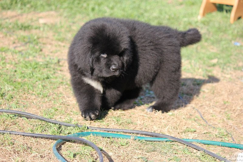 Фотография № 206904