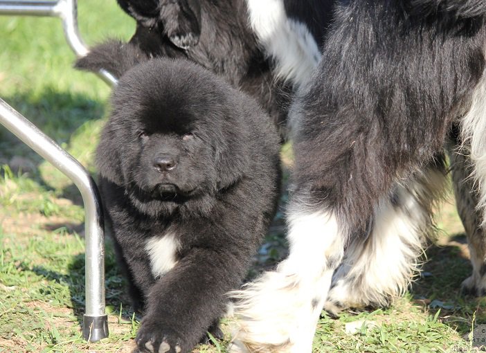 Фотография № 206905