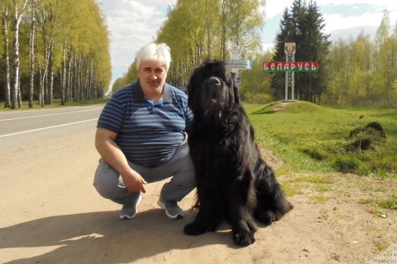 Фотография № 206907