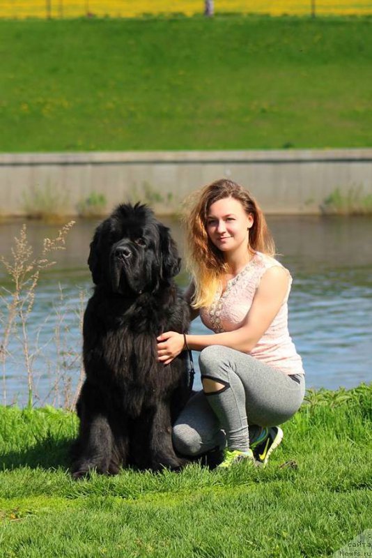 Фотография № 206911