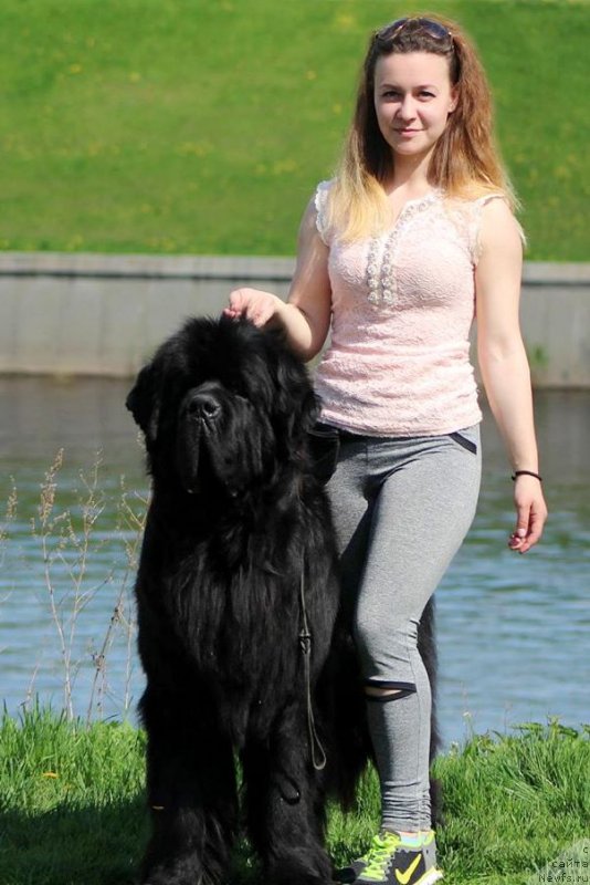 Фотография № 206912