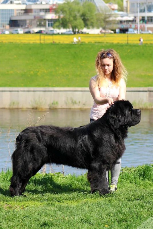 Фотография № 206913