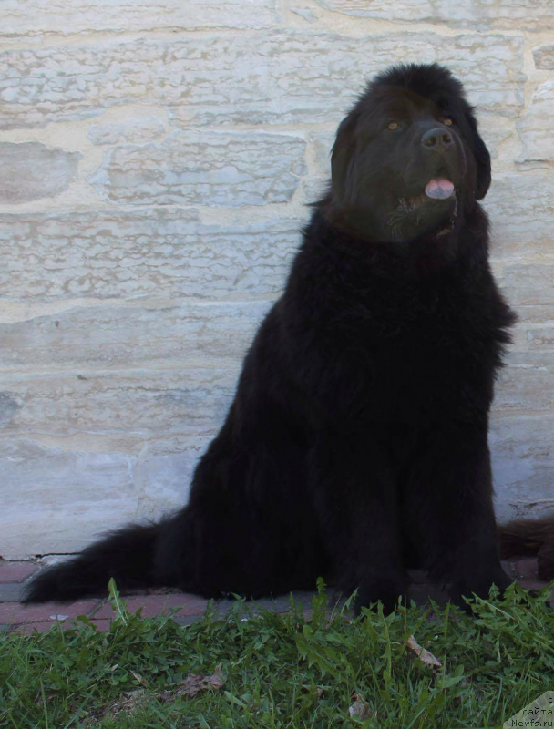 Фотография № 206916