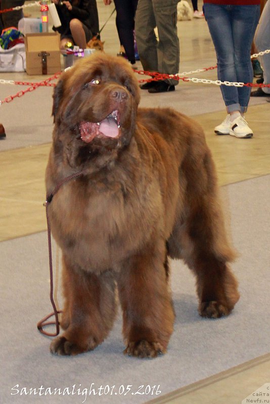 Фотография № 206936