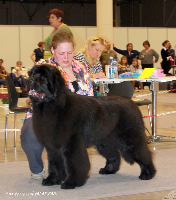 Фотография № 206938