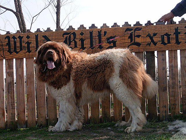 Фотография № 20694