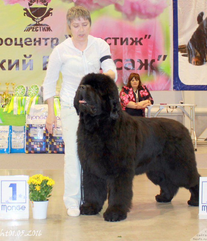 Фотография № 206967