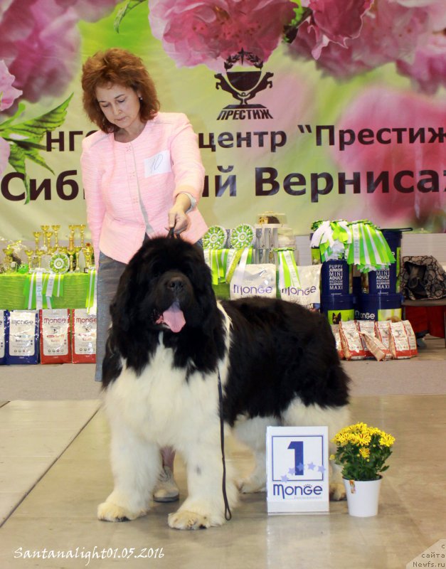 Фотография № 206969