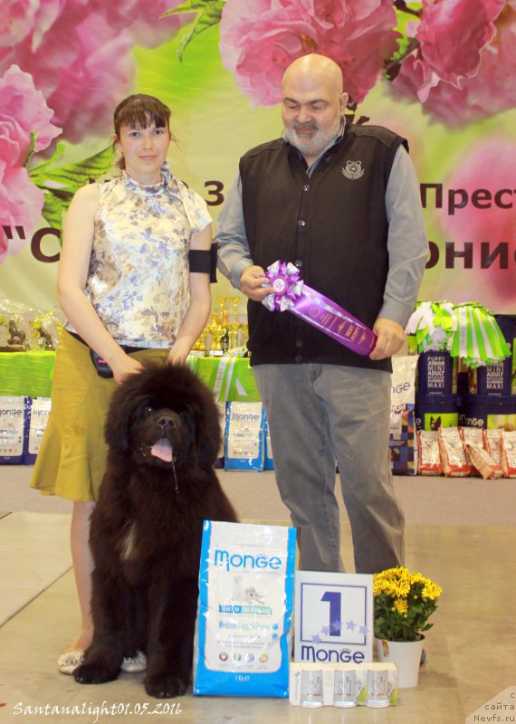 Фотография № 206973