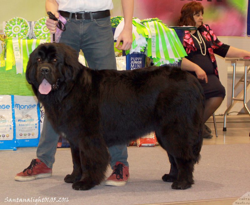 Фотография № 206975