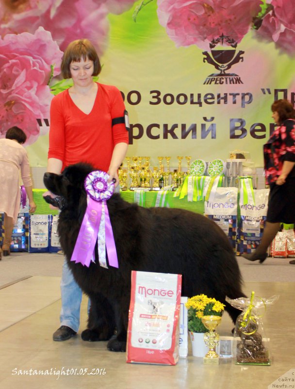 Фотография № 206976