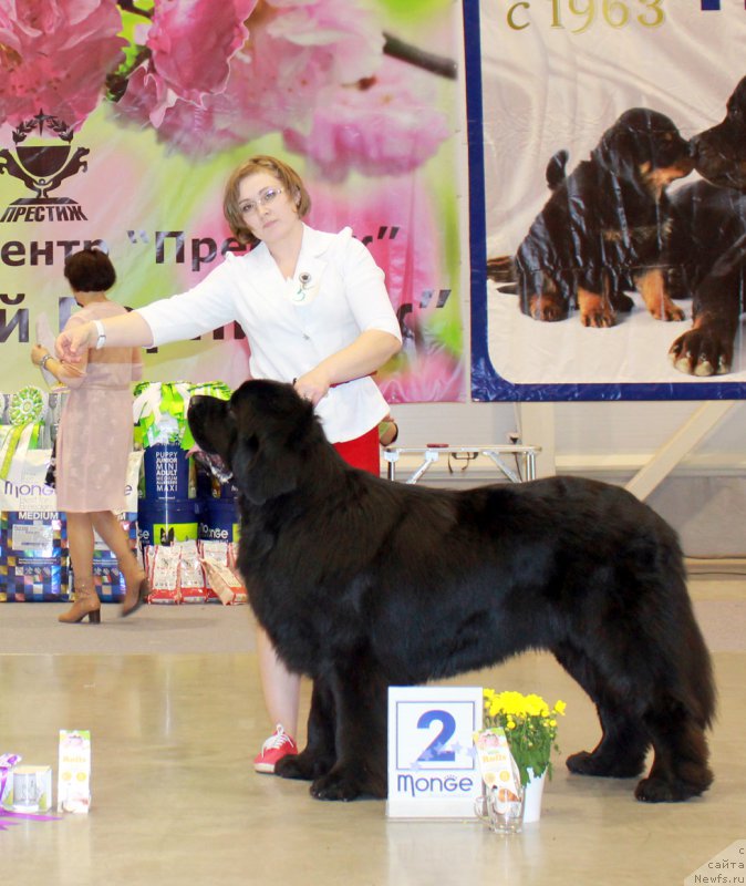 Фотография № 206977