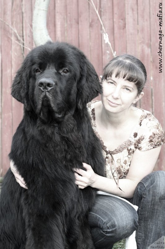 Фотография № 206981