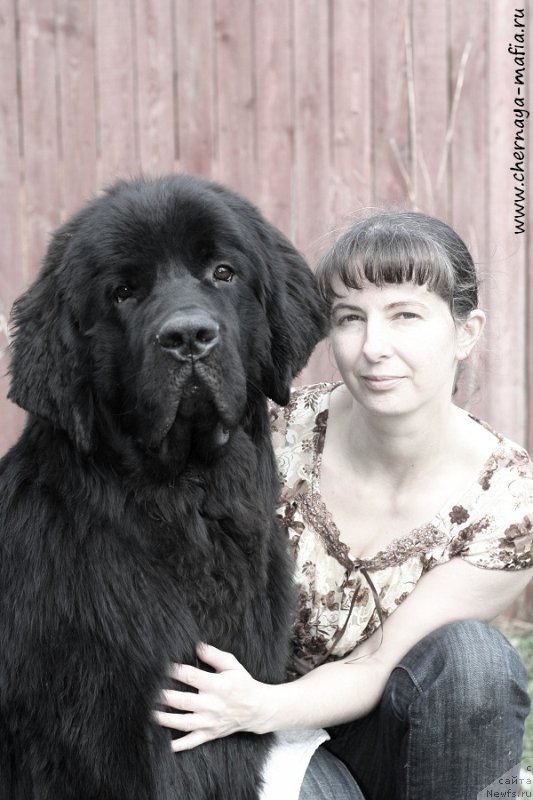 Фотография № 206983