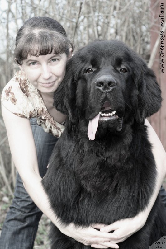 Фотография № 206984