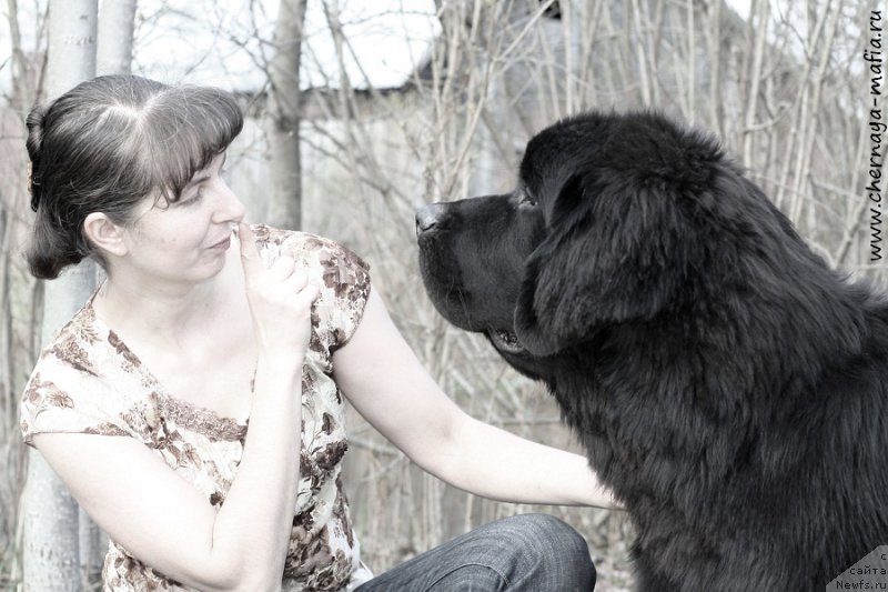 Фотография № 206987