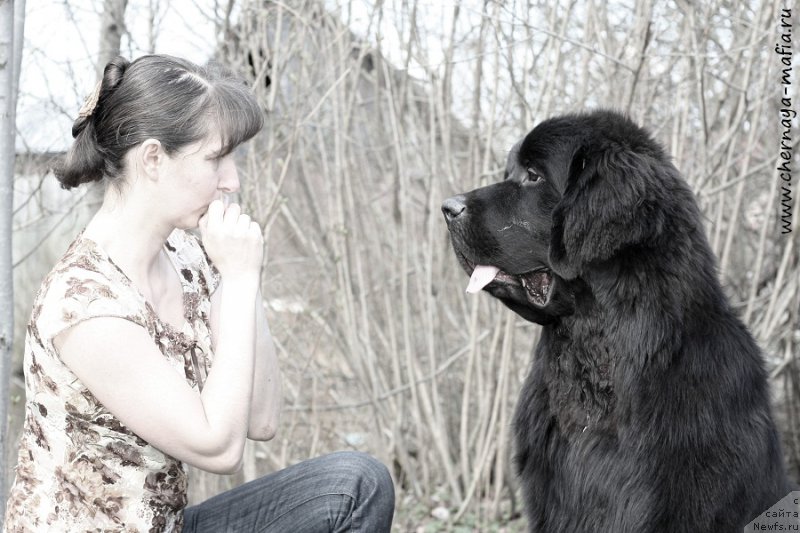 Фотография № 206988