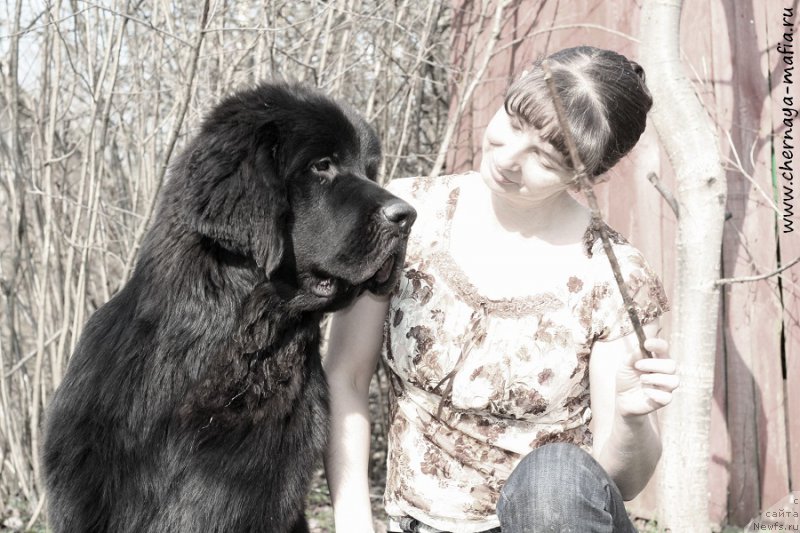 Фотография № 206990