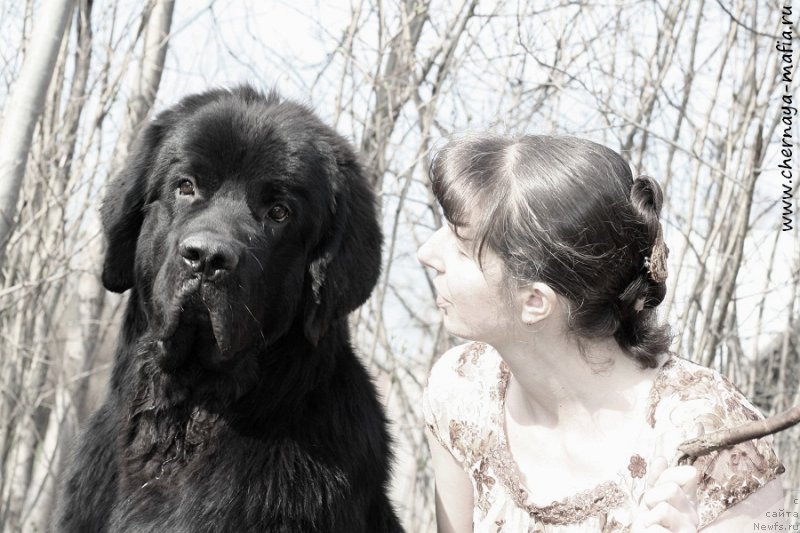 Фотография № 206991