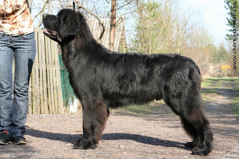 Фотография № 206993