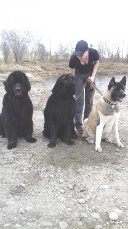 Фотография № 207010