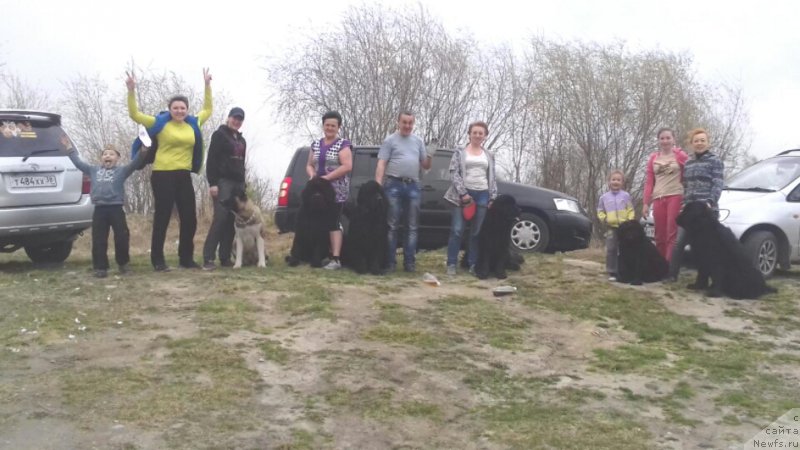 Фотография № 207020