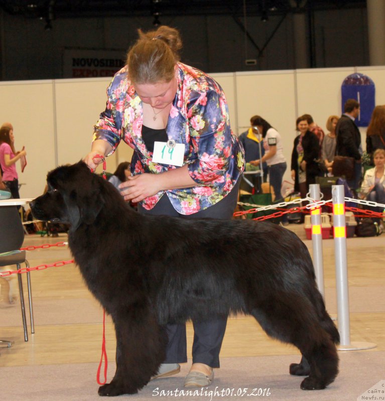 Фотография № 207021