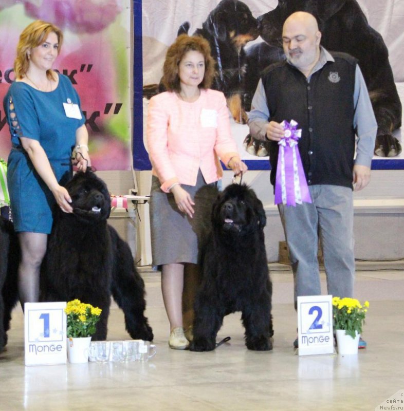 Фотография № 207022