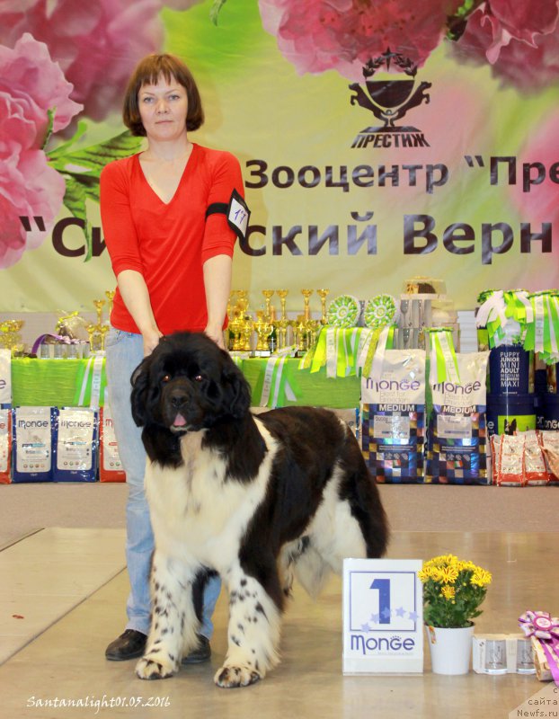 Фотография № 207028