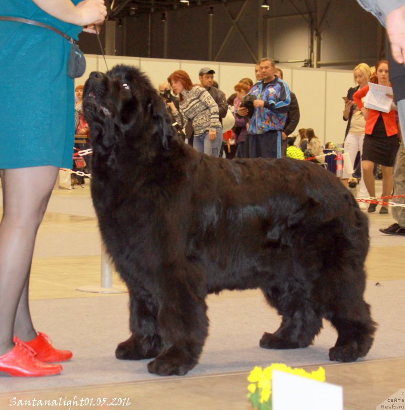 Фотография № 207031