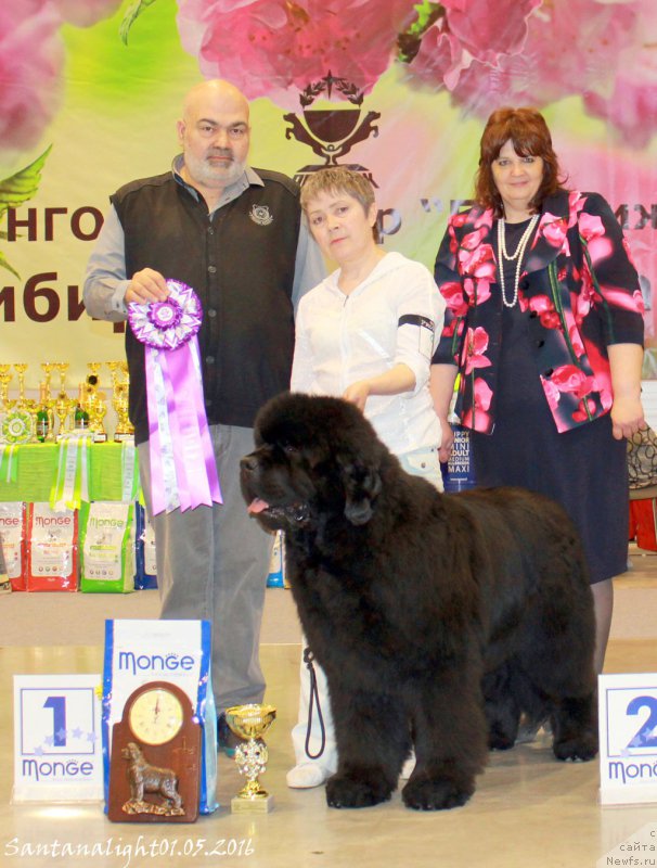 Фотография № 207038