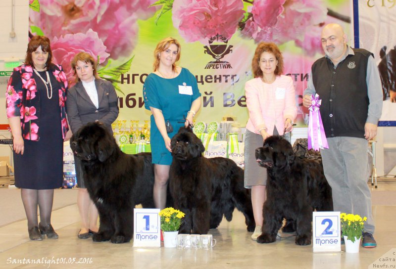 Фотография № 207039